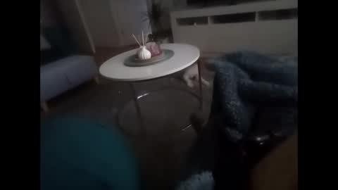 davf76 online show from February 19, 2026, 8:10 am