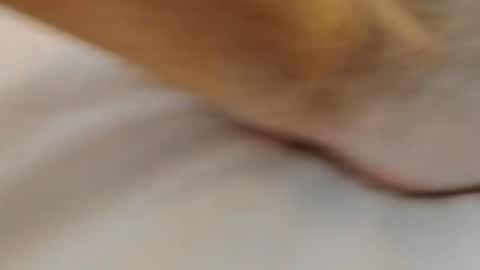 david1982yesyes online show from March 2, 2026, 2:02 pm