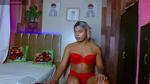 Noha online show from December 14, 2025, 2:28 am