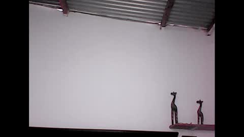 davidstuart online show from January 20, 2025, 8:50 pm