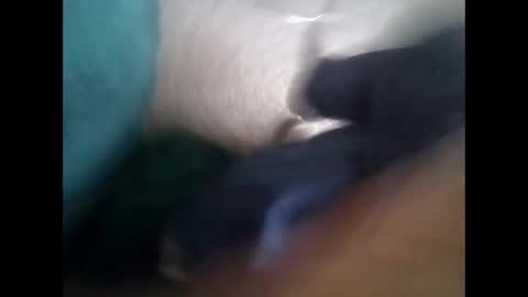 davidf75 online show from November 6, 2025, 9:54 am