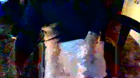 Snapshot of davidneedmore chatting on March 3, 2026, 2:34 pm davidneedmore online show from March 3, 2026, 2:34 pm