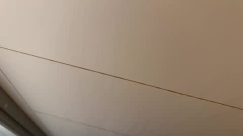 Hornybear online show from April 25, 2026, 5:32 am