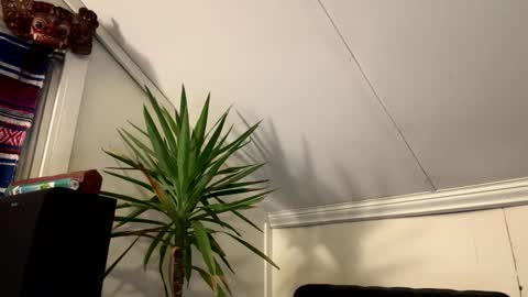 Snapshot of dayblue chatting on March 2, 2026, 2:58 am dayblue online show from March 2, 2026, 2:58 am