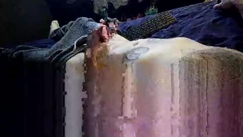 decoyx5o5 online show from January 1, 2025, 2:09 pm