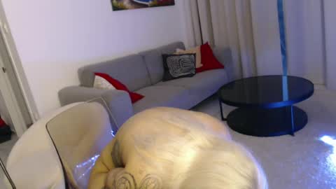 Snapshot of deewhitee chatting on July 3, 2026, 5:19 pm Jenna online show from July 3, 2026, 5:19 pm