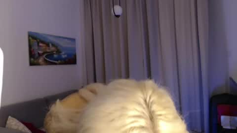 Snapshot of deewhitee chatting on July 6, 2026, 7:16 pm Jenna online show from July 6, 2026, 7:16 pm