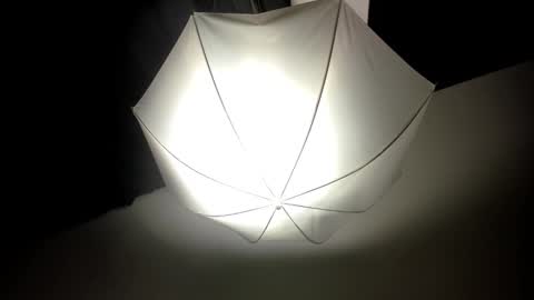 DEIVY online show from February 14, 2025, 8:31 am