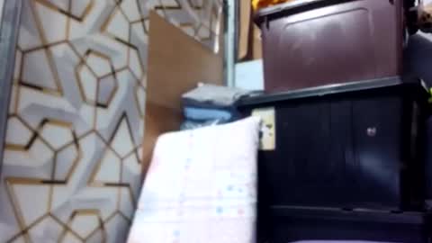 deliciousgirl975840 online show from June 1, 2026, 7:15 pm