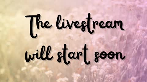 DeLite  Next stream on Wednesday or Thurdsay  online show from March 11, 2025, 9:24 am