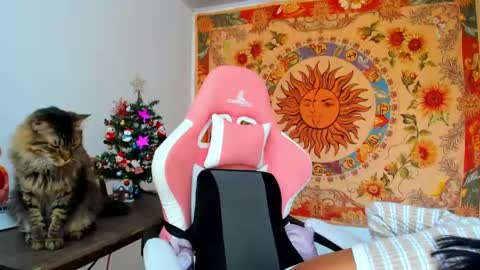 demeter__ online show from December 11, 2024, 4:53 pm