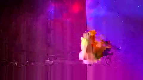 den2807 online show from March 24, 2026, 12:15 am