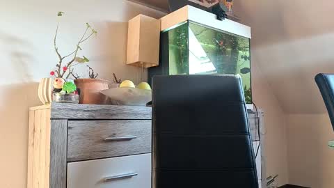 Denise and Brad online show from April 7, 2026, 4:40 pm