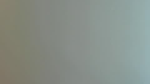 dennis munera online show from January 29, 2025, 2:32 pm