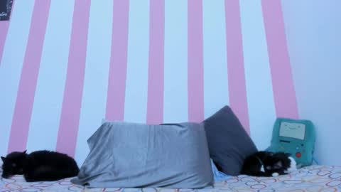 Snapshot of devilangel_29 chatting on March 17, 2026, 2:16 am Johana online show from March 17, 2026, 2:16 am