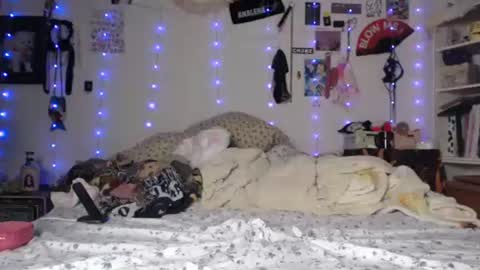 poutyangel online show from January 29, 2025, 7:36 am