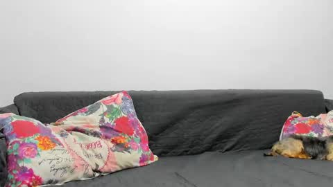 Misha online show from February 3, 2025, 7:07 am