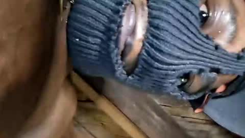 Marcus D-von Steel as the raunchy ass sniffer thrill me with your online show from October 2, 2025, 7:15 am