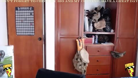 Bruno Diamond online show from December 26, 2024, 3:20 pm