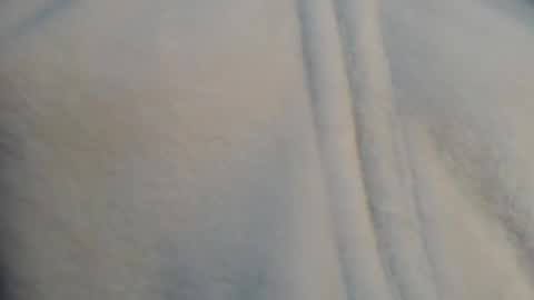 diana online show from December 11, 2024, 6:42 pm