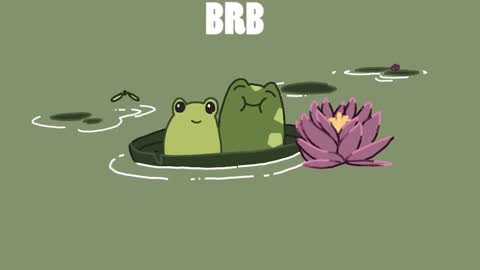 diana online show from December 13, 2024, 7:43 pm