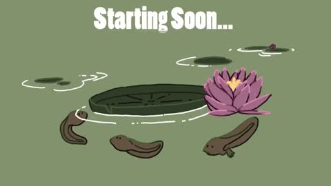 diana online show from December 14, 2024, 3:07 am