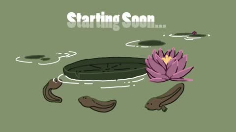 diana online show from January 18, 2025, 2:55 pm