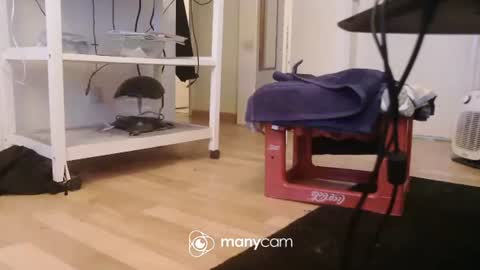 Snapshot of dickerpenis2025 chatting on December 17, 2025, 9:59 am Kevin S. online show from December 17, 2025, 9:59 am