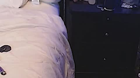 Snapshot of dickgiggler chatting on March 11, 2025, 7:04 am Sparkx online show from March 11, 2025, 7:04 am