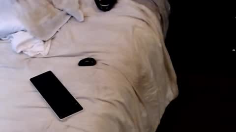 Snapshot of dickgiggler chatting on September 13, 2025, 3:28 am Sparkx online show from September 13, 2025, 3:28 am