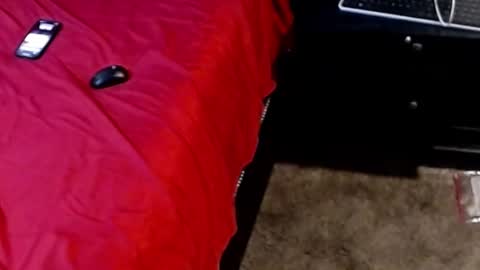 Snapshot of dickgiggler chatting on September 28, 2025, 5:13 am Sparkx online show from September 28, 2025, 5:13 am