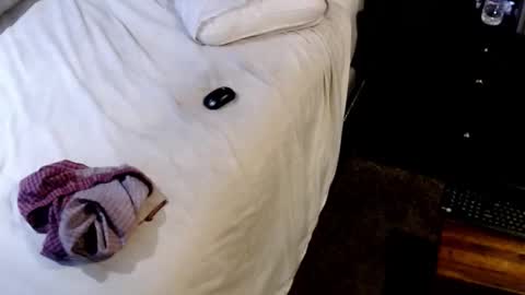 Snapshot of dickgiggler chatting on November 9, 2025, 3:38 am Sparkx online show from November 9, 2025, 3:38 am