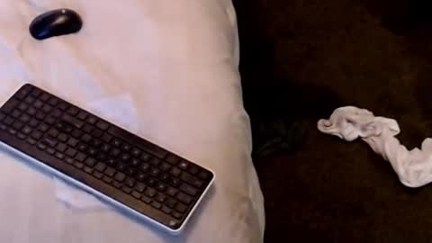 Snapshot of dickgiggler chatting on December 22, 2025, 4:31 am Sparkx online show from December 22, 2025, 4:31 am