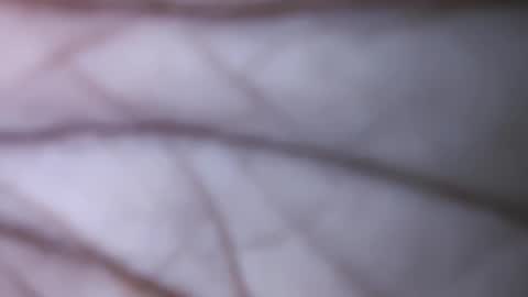 Dick balls online show from December 1, 2024, 7:47 pm