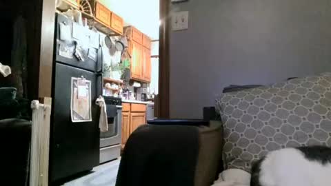 dickwack4u online show from January 4, 2025, 4:01 am