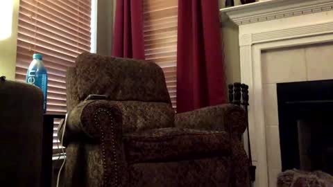 diegodavids online show from January 31, 2025, 3:55 pm