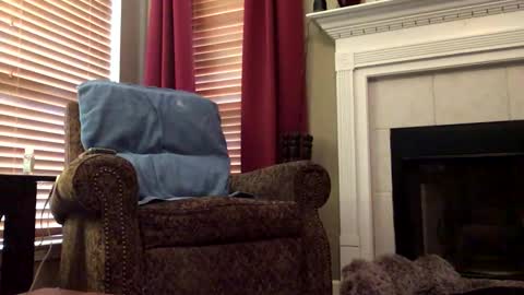 diegodavids online show from February 6, 2025, 3:20 pm