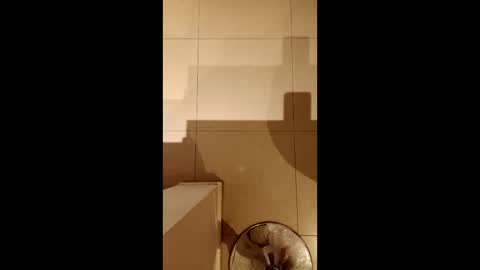 Diego online show from February 21, 2026, 10:33 pm