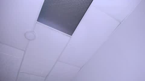 DINA online show from December 24, 2024, 9:55 pm