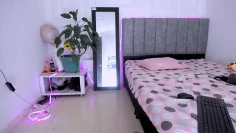 DINA online show from November 12, 2025, 10:41 pm