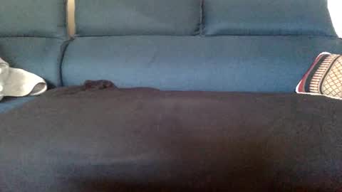 dinnerout1111 online show from February 17, 2025, 8:52 am