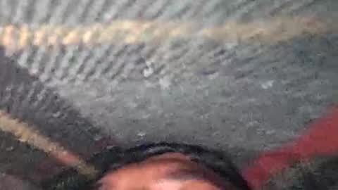 dyno online show from December 17, 2025, 7:42 pm