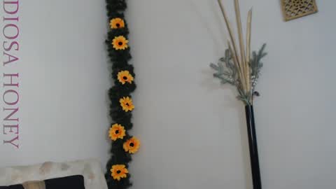 Diosa online show from January 29, 2025, 8:46 pm