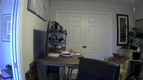 DirtkPitt Fun guy working online show from January 4, 2025, 3:39 pm