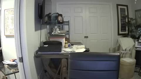 DirtkPitt Fun guy working online show from March 24, 2026, 4:17 am