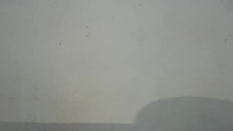 dirtiplay online show from February 5, 2025, 1:37 am