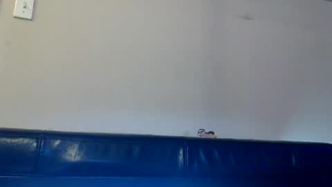 Snapshot of dirtydaisy1998 chatting on November 14, 2025, 1:32 pm Daisy Wylde online show from November 14, 2025, 1:32 pm