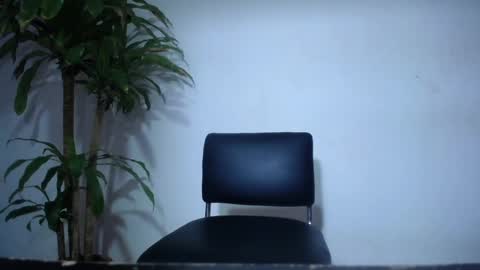 whats app - stagram marian doll online show from February 26, 2025, 1:53 am