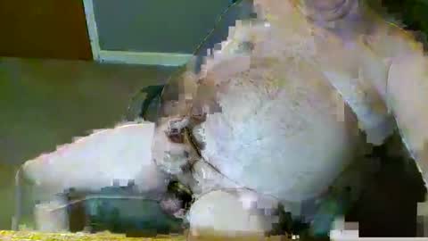 dirtydave52 online show from March 28, 2026, 11:10 am