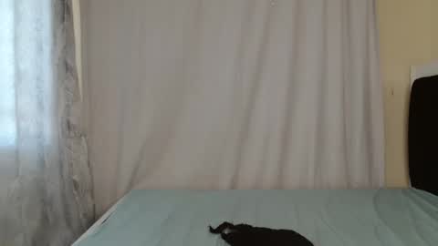 disah_002 online show from May 28, 2026, 11:18 am